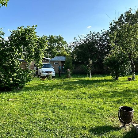 Villa In Qabala Екстериор снимка